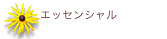 CORE Instructor