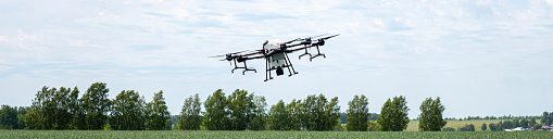 Drone sprayer flies over the agricultural field. Smart farming and precision agriculture. An industrial drone in the sky. Quadrocopter for pollination of plants